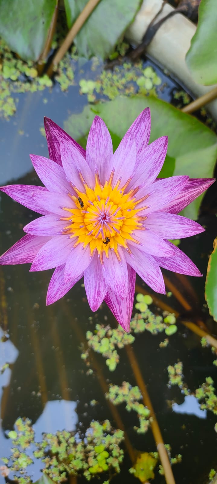 Men's Accessories Banner