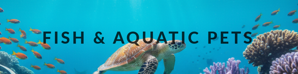 Men's Accessories Banner