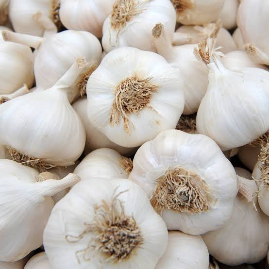 Garlic  - Alternate View